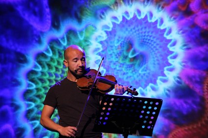 violin